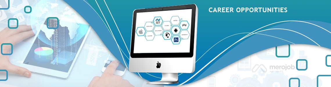 Senior .Net Developer