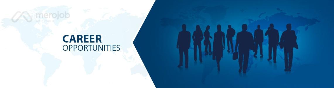 Sr. Executive/Asst. Manager-Sales