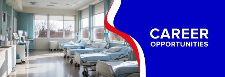 Human Resource Manager (HR Manager)