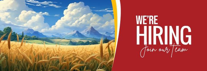 Country Sales Manager