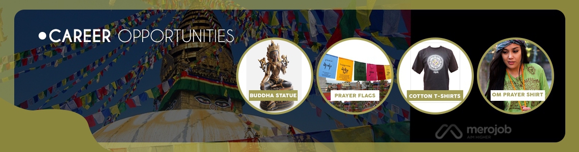 Operations Assistant