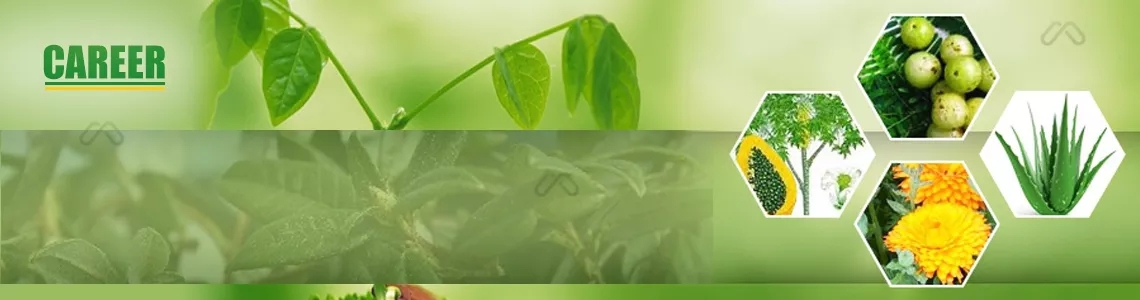 Social Media Handler