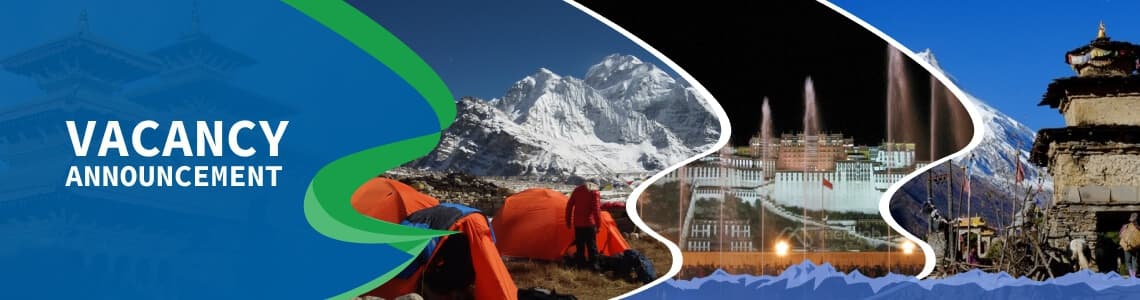 Blog and Content Writer