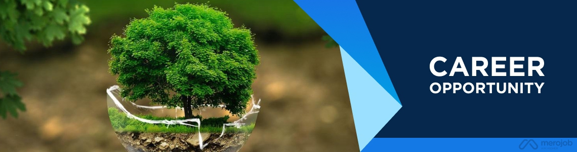 Communication Consultant