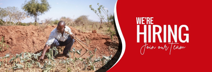 Finance And Administration Coordinator – Consultant