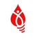 The YOU Foundation_image