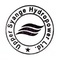 Upper Syange Hydropower_image
