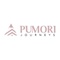 Pumori Journeys