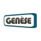 Genese Solution