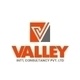 Valley International Consultancy