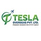 Tesla Overseas