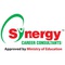 Synergy Career Consultants