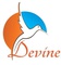 Devine Group_image