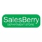 Salesberry Wholesale_image