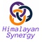 Himalayan Synergy & Co