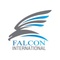 Falcon International_image