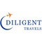 Diligent Travels_image