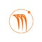 Magnus Consulting Group
