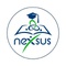 Nexsus Educational Consultancy  and Immigration Services_image