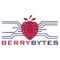 BERRY BYTES_image