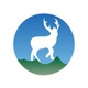 Deerwalk Group