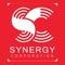 Synergy Corporation_image