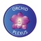 Orchid Plexus_image