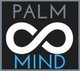 Palmmind IT