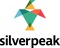 Silver Peak Global Pvt. Ltd._image