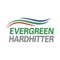 Evergreen Energy & Investment_image