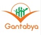 Gantabya Investment International_image