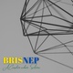 Brisnep