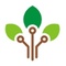 Treeleaf Technologies_image