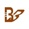 Bibhanshu Brothers_image