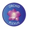 Orchid Plexus