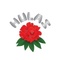 Hulas Steel Industries Limited