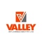 Valley International Consultancy_image