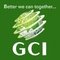 The Global Capital Investment Nepal_image