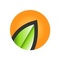 Dzango Technologies Limited_image