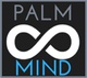 Palmmind IT