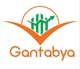 Gantabya Investment International