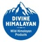 Divine Himalayan