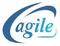 Agile Solutions_image