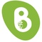 Brain Digit IT Solution_image
