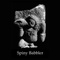 Spiny Babbler Evolution_image