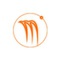 Magnus Consulting Group