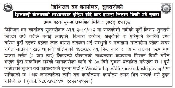 शिलवन्दी बोलपत्रको माध्यमबाट दरिया बुर्दि काठ दाउरा लिलाम बिक्री गर्ने सूचना