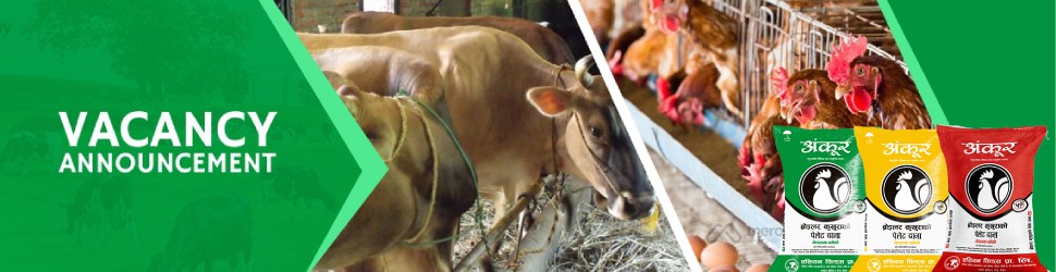Asian Feeds banner