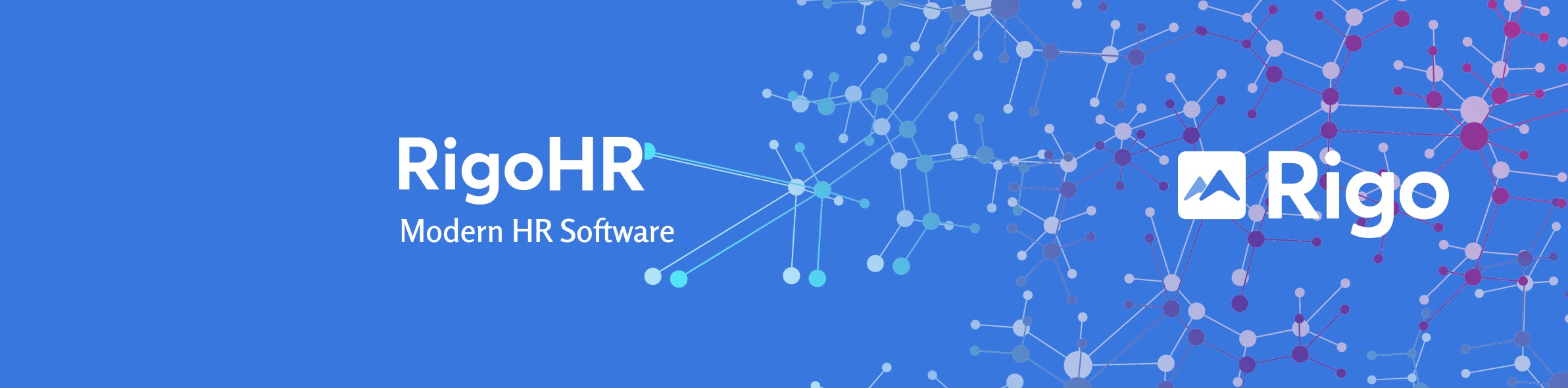 Rigo Technologies banner