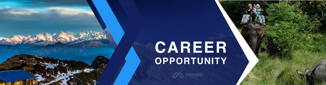 Blog Content Writer/Digital Marketing Officer (SEO)
